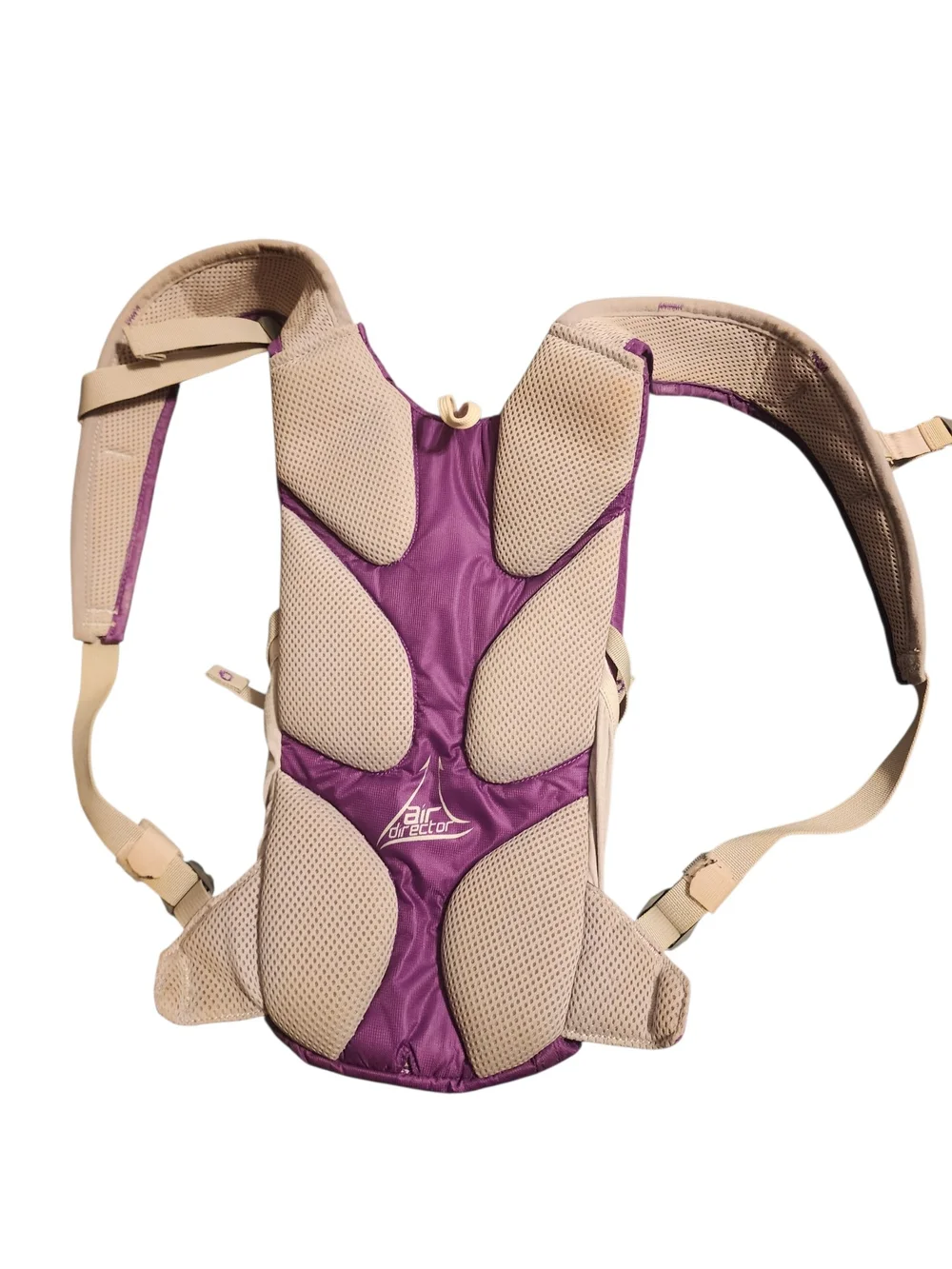 Camelbak Purple and Beige Daypack